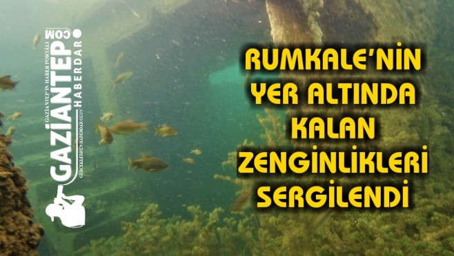haber/Photo_1571416704800.jpg