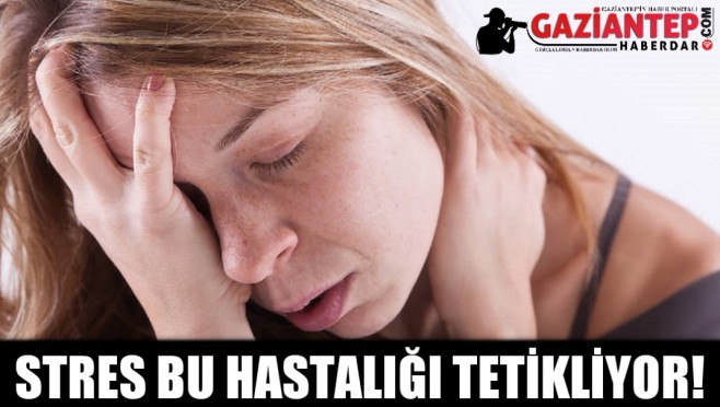 haber/Photo_1672749797845.jpg