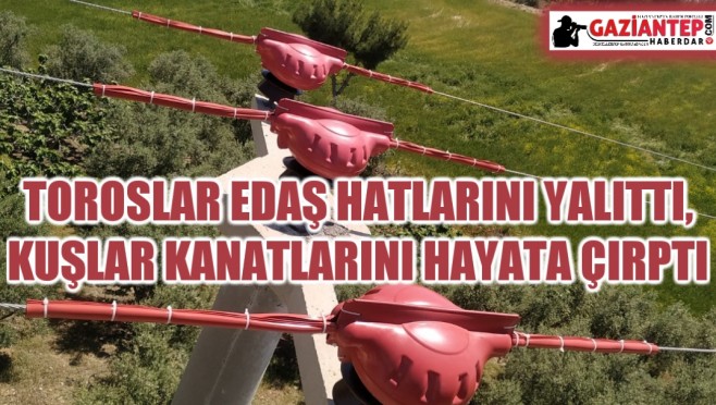 haber/Photo_1686045956881.jpg